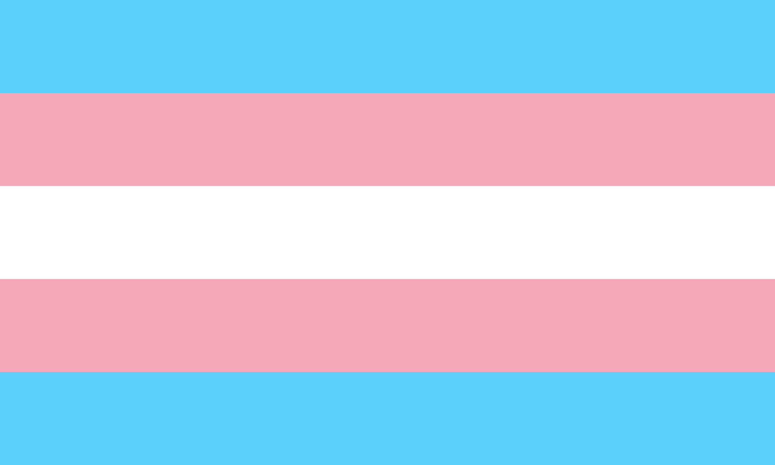 Bandeira Orgulho Trans